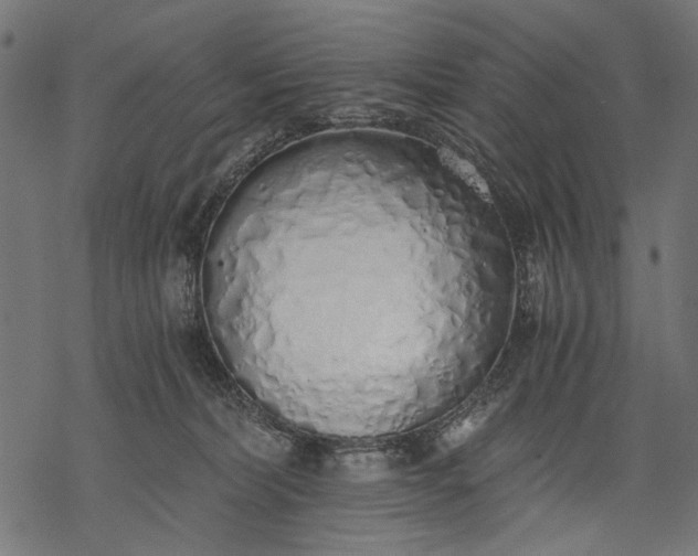 X0000068310228200605051539