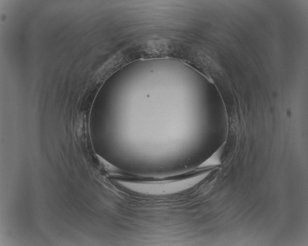 X0000068310233200605051539