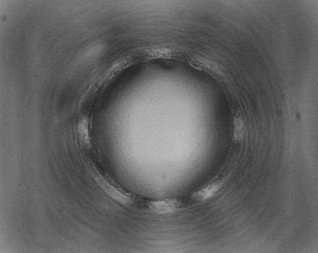 X0000068310238200605051539