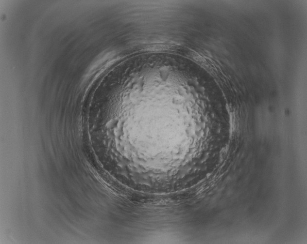 X0000068310243200605051538