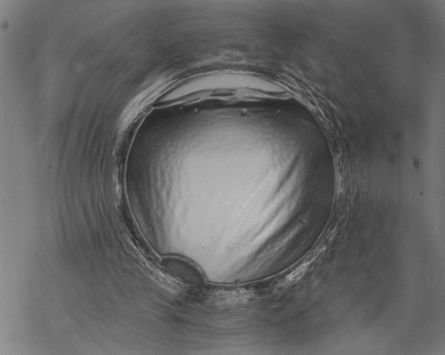X0000068310245200605051538