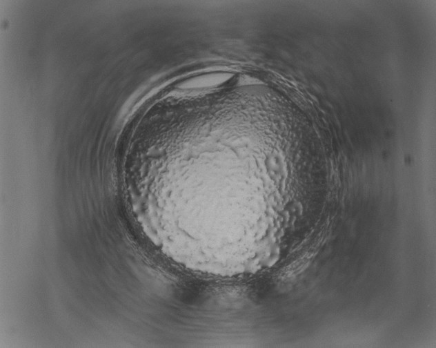 X0000068310247200605051538