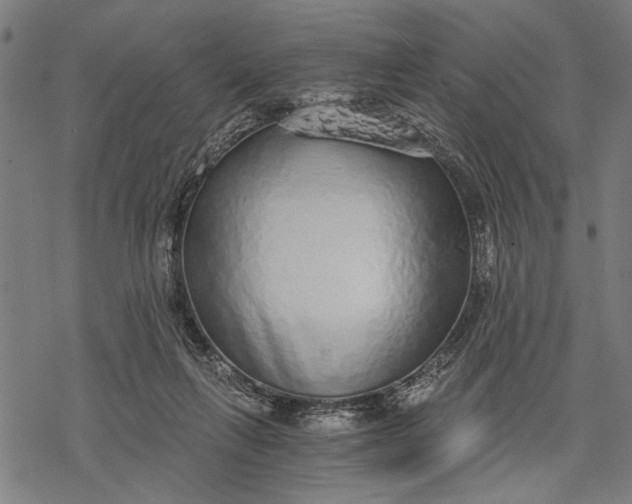 X0000068310263200605051538