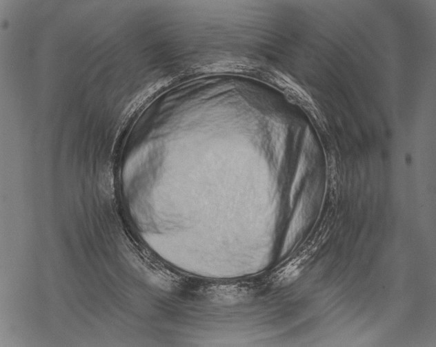 X0000068310298200605051538