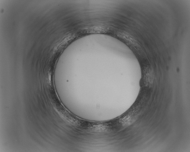 X0000068310310200605051537