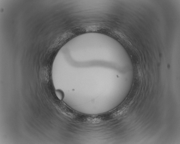 X0000068310311200605051537