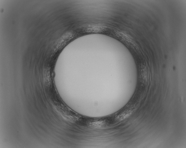 X0000068310312200605051537