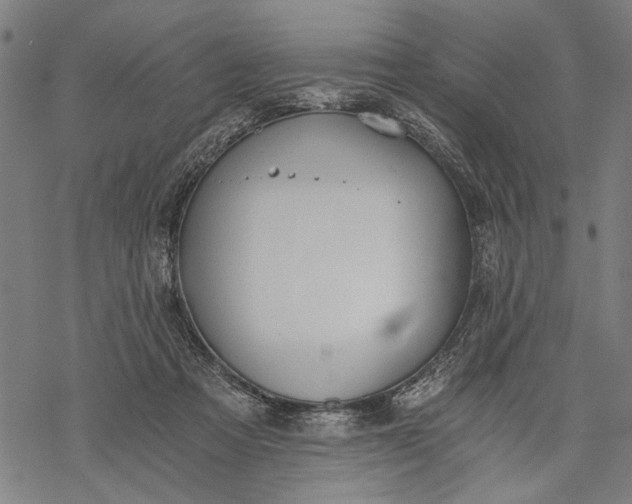 X0000068310313200605051537