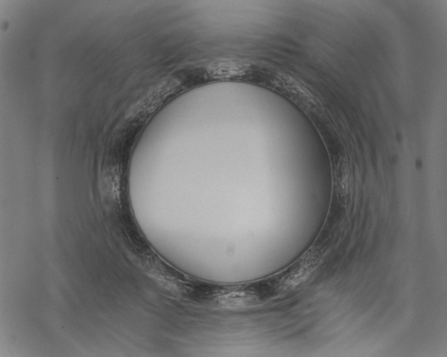 X0000068310315200605051537