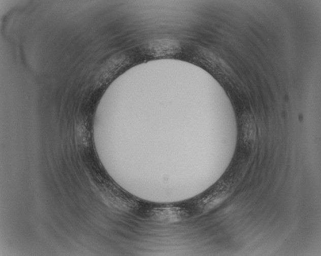 X0000068310316200605051537