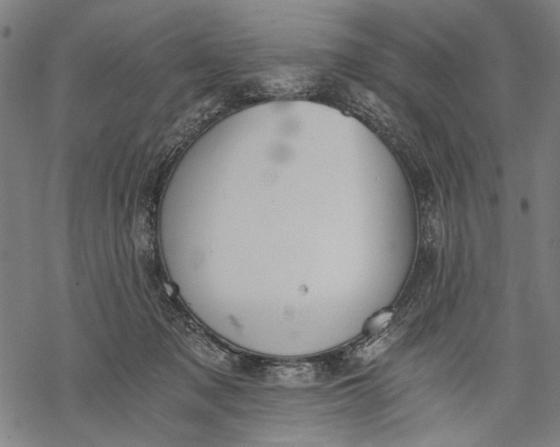 X0000068310317200605051537