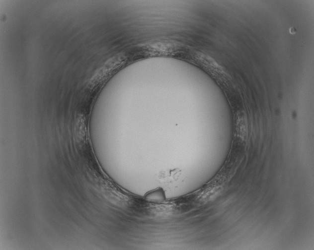 X0000068310318200605051537