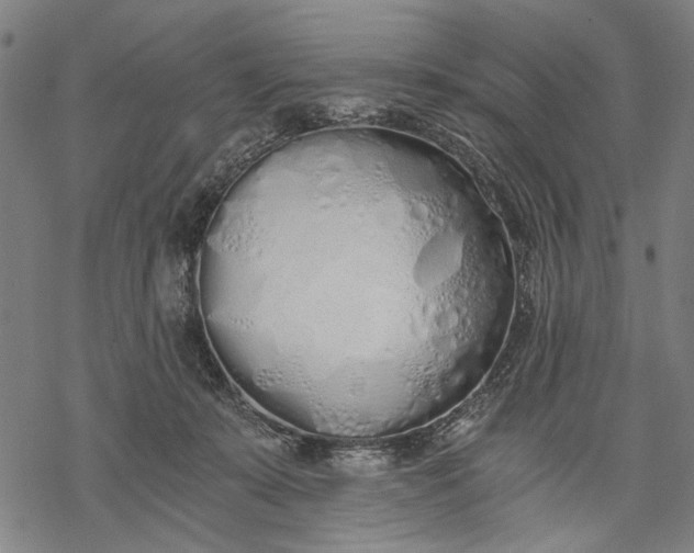 X0000068310319200605051537