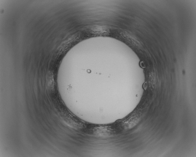 X0000068310320200605051537