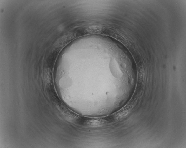 X0000068310323200605051537