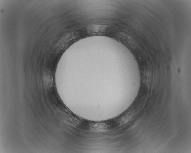 X0000068310324200605051537