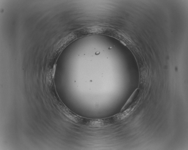 X0000068310325200605051537