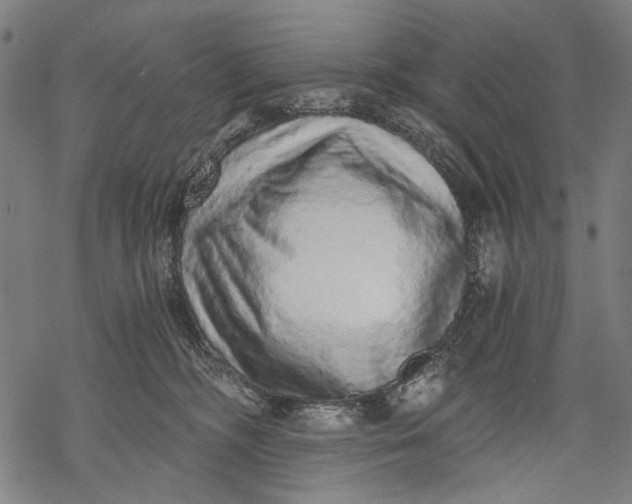 X0000068310326200605051537