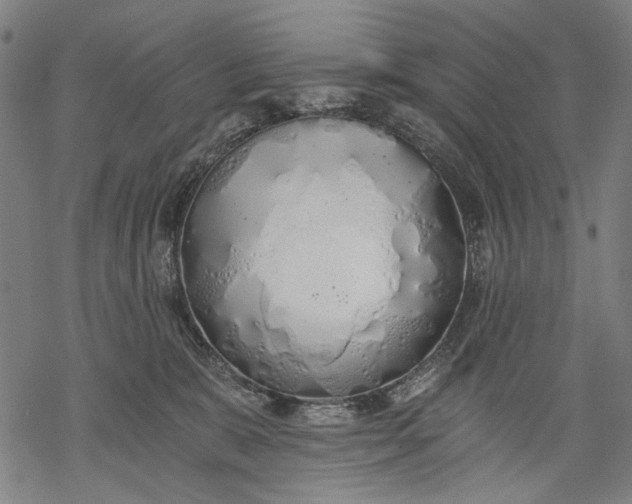 X0000068310327200605051537