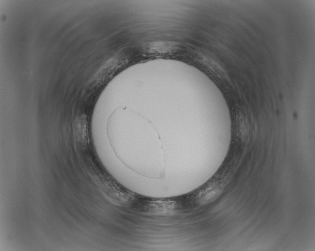 X0000068310328200605051537