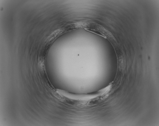 X0000068310329200605051537