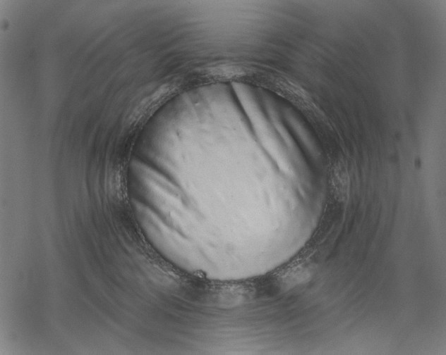 X0000068310330200605051537