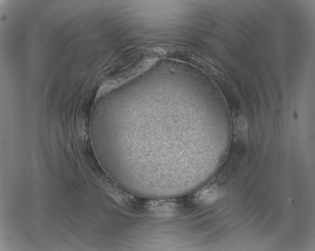 X0000068310331200605051537