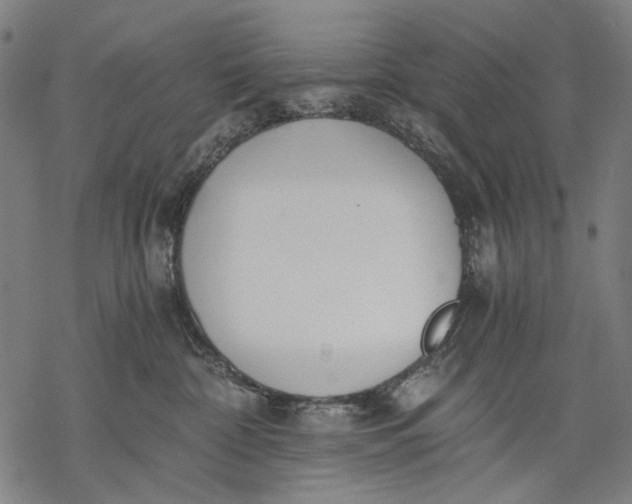 X0000068310332200605051537