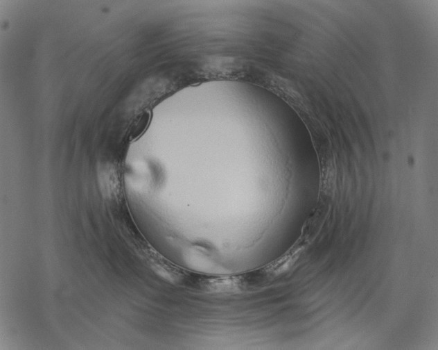 X0000068310335200605051537