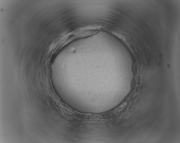 X0000068310337200605051536