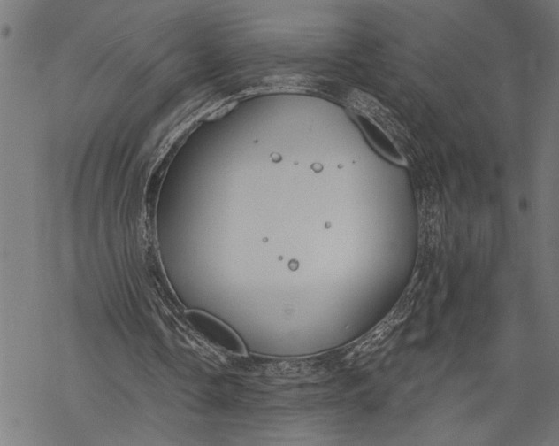 X0000068310338200605051536