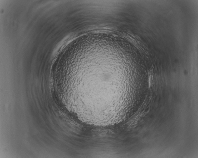 X0000068310339200605051536