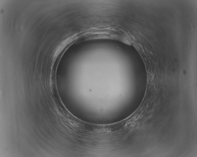 X0000068310340200605051536