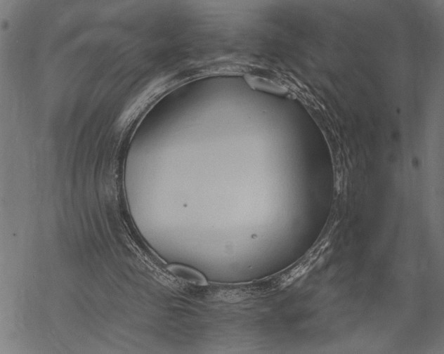 X0000068310341200605051536