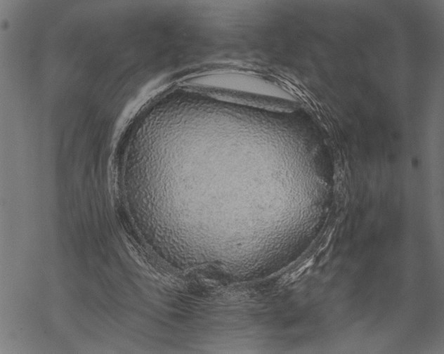 X0000068310343200605051536