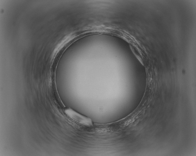 X0000068310344200605051536