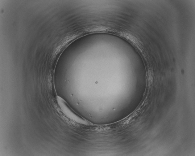 X0000068310345200605051536