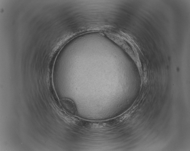 X0000068310346200605051536