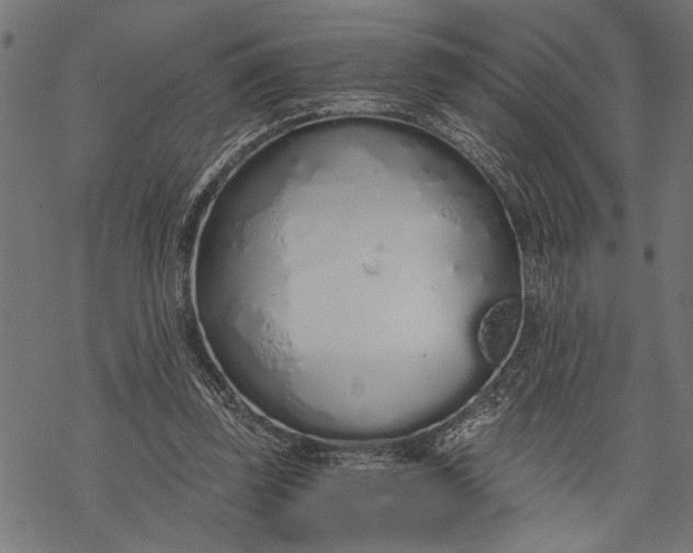 X0000068310347200605051536