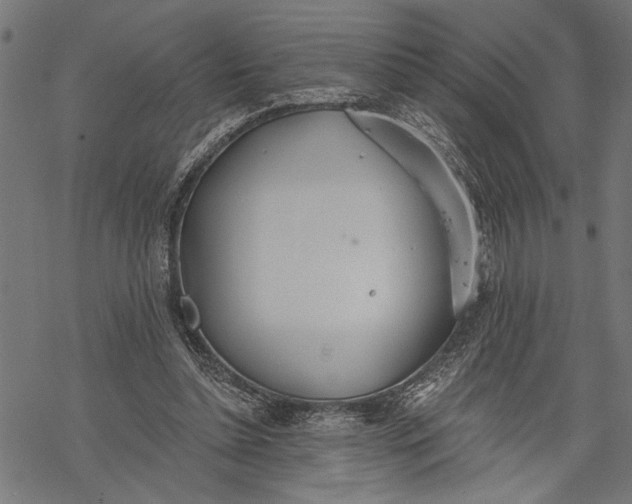 X0000068310348200605051536