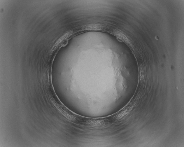 X0000068310349200605051536