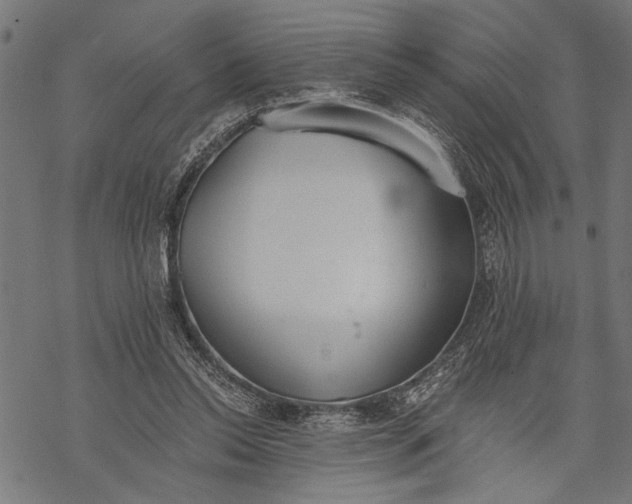 X0000068310350200605051537