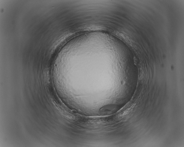 X0000068310351200605051537