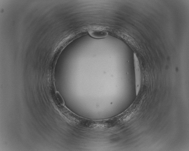 X0000068310352200605051537