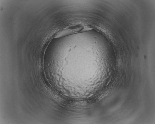 X0000068310353200605051537