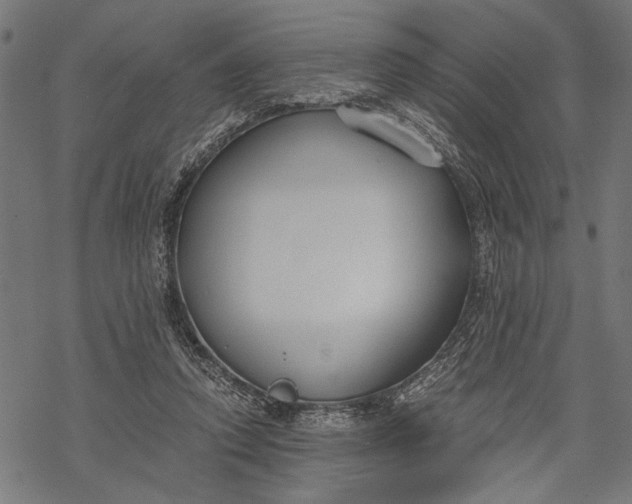 X0000068310354200605051537