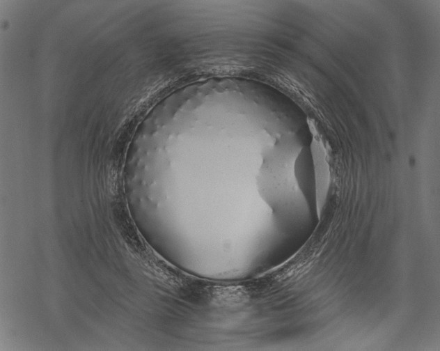 X0000068310355200605051537