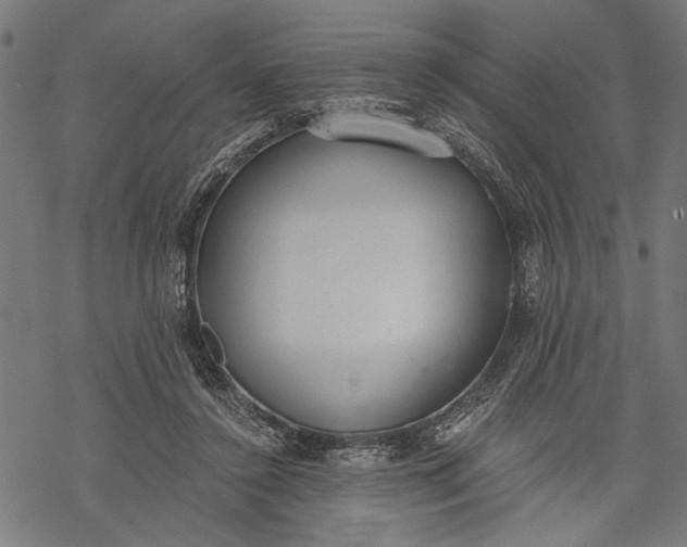 X0000068310356200605051537