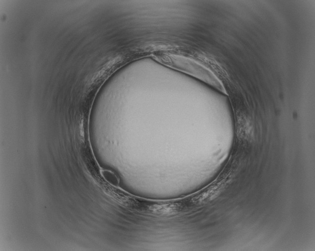 X0000068310358200605051537