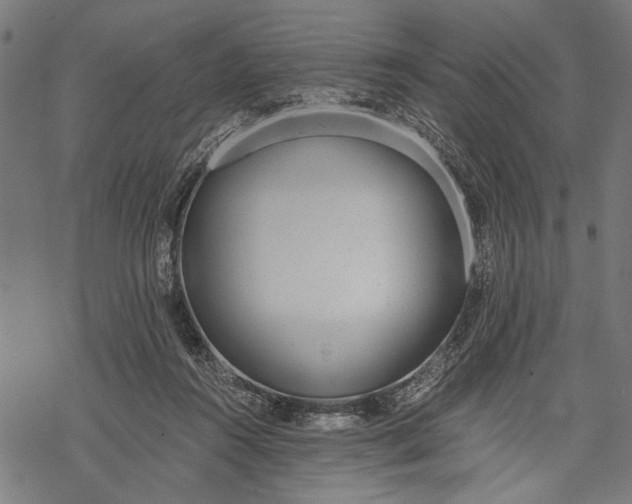 X0000068310360200605051537